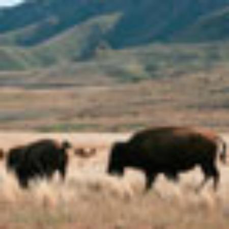 Palm Cafe, Rocky Point